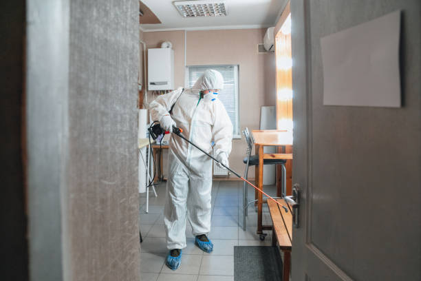  Maitland, FL Mold Removal Pros