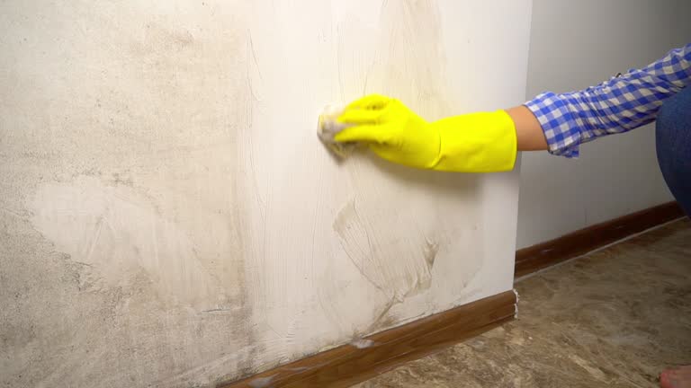 Best Post-Remediation Verification Testing  in Maitland, FL